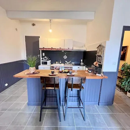 Apartamento Le Cocon Des Berges - Centre-ville A Pied - Wifi Limoux